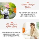 팜솔루션 | 뿌리부터 건강하게, 감동원예 핸즈팜 뿌리활력 500ml로 완성하는 1년 생육 솔루션....감동쇼핑