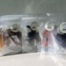 견식파티 이미지