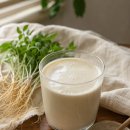 자라나는새싹 | 매일 피곤한 남편 천년새싹 새싹삼 복용 솔직후기 🌱