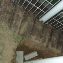 장학초등학교 이미지