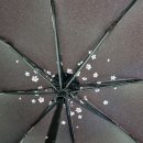 자외선 차단 암막 양산 우산 이미지