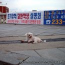 남도주유소 이미지