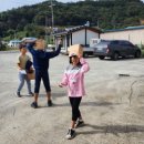 마령초등학교 이미지