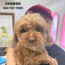 표선동물병원 이미지