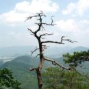 산 카카오 검색결과