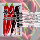 중앙농약농자재마트 | “칼라병·탄저·역병까지 버티는 조생 고추! 올A(올에이) 복합저항성 고추 솔직 정리”