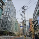 광화문국제 행정사사무소 이미지