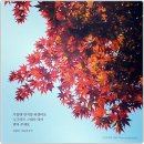 따뜻한 한줄 이미지