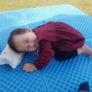 유준 소프트 이미지