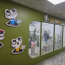 판다샵 | 대구 파충류샵 크레판다 방문 후기 | 크레스티드 게코 분양 후 1년 키워본 이야기