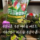 거목축산 | 분갈이흙 추천 제라늄 배양토 / 거목산업사 최고급 분갈이 흙
