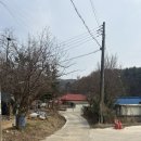 의왕시 '오전상회' #전현무계획 방문 후기