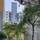 U보라작은도서관 이미지
