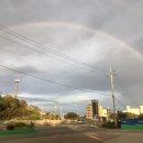 토성농협주유소 이미지