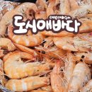 도시애바다 이미지