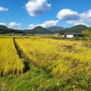 휴25가족민박 이미지