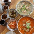 해면식당 | 제주 성산 맛집 해면당, 돌고래 관찰 포인트 앞 칼국수집