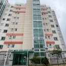 밀성여자중학교, 밀성제일고등학교 이미지