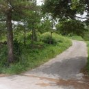 당포연대 이미지