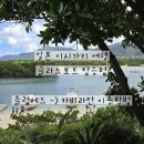 글라스뷰 | 일본 이시가키 &#34;카비라만 글라스보트&#34; 탑승 후기!!