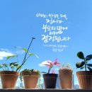 그린나래에듀