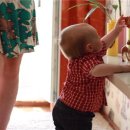 호기심으로 보는 세상 이미지