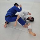 ㈜제일에너지 | 광주 광산구 주짓수 2단 승단심사 현장 공개! 스파르탄짐 제자들의 뜨거운 2월