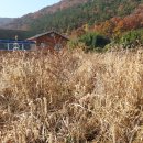 인심공인중개사사무소 이미지