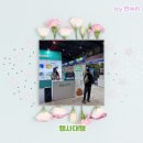 에이전시소사 | SETEC 2025 코리아 이커머스페어, 배달의민족 부스를 빛낸 베리굿에이전시의 완벽 행사 대행 후기