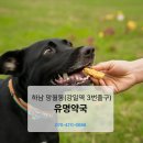 유명프라자약국 - 통영시 중앙로 240 | 유명프라자약국