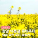제 21회 전국 청소년 연극제 폐막 특별 공연 | 2026 창녕낙동강유채축제 총정리 | 일정·공연·주차 한눈에