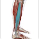 오성병원 이미지