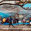 김태경 농장 이미지