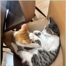 창조교육사 | 강릉 아이 체험학습 디자인씽킹뮤지엄