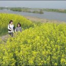 나주홍어 - 의정부시 태평로89번길 5 | 나주홍어