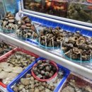 화성건어물 이미지