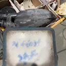 고율모터스 이미지