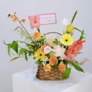 달성군청도서관 | 대구 동구 수성구 북구 인사이동 승진 및 영전 화분_호접란(서양란), 미니화분, 영전 꽃바구니,승진...