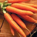 산소뱅크 이미지