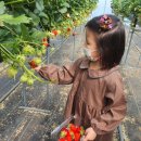 청동기박물관 이미지