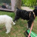 노작호수공원 이미지