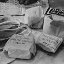 BOSS ONE PT 이미지