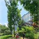 내곡동282 이미지