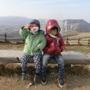 도훈목장 Daum카페