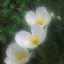 덕산마루 이미지