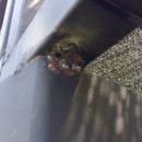 k셀프세차장 이미지