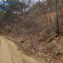 영덕군축산면상원보건진료소 | [영덕군 축산면 토지(전)경매,급매,전세] 경상북도 영덕군 축산면 부곡리 424. 2017타경1514