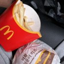 라이프가드 | 적십자 라이프가드 후기