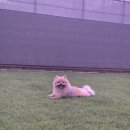 (주)라인하트 이미지