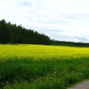 삼동초등학교 이미지